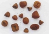 Ox and Cow Gallstones Wholesale